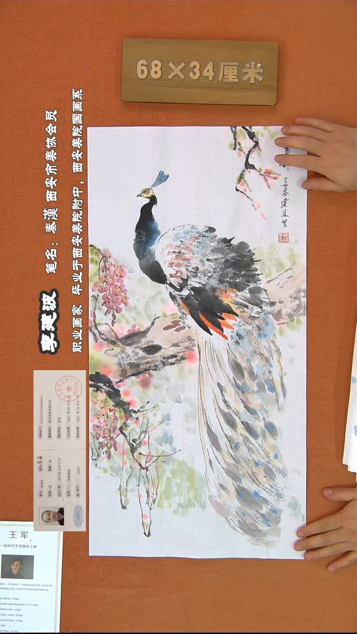 【闪购商品】书法270秦汉书法作品