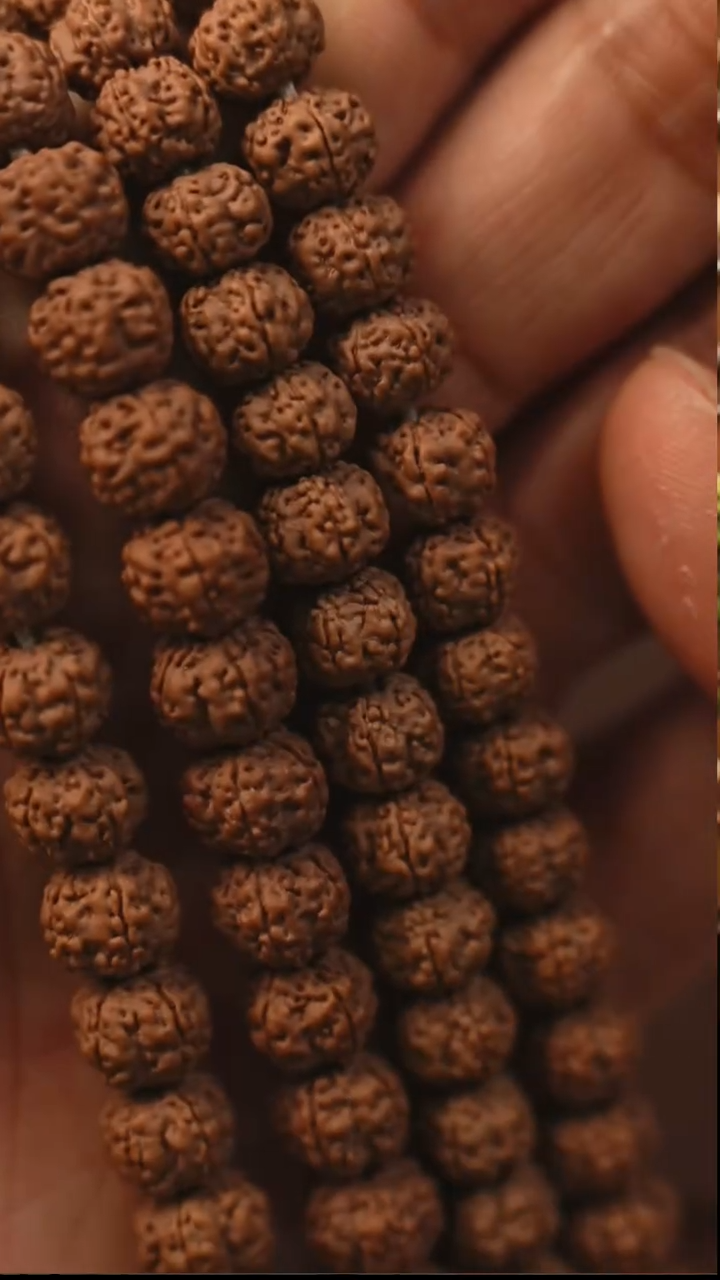 手串金刚菩提S01老树梅花