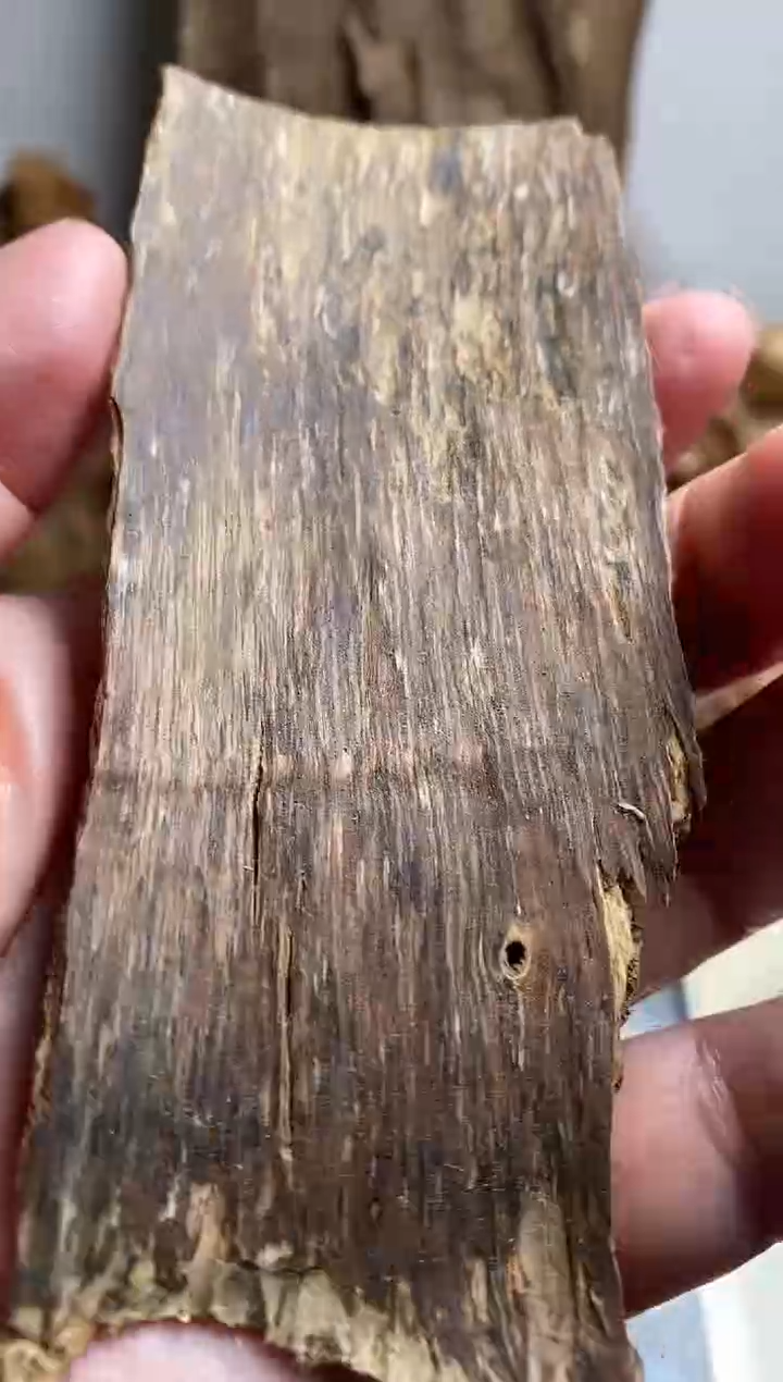 【闪购商品】沉香沉香碎屑柬埔寨菩萨树皮6.9克