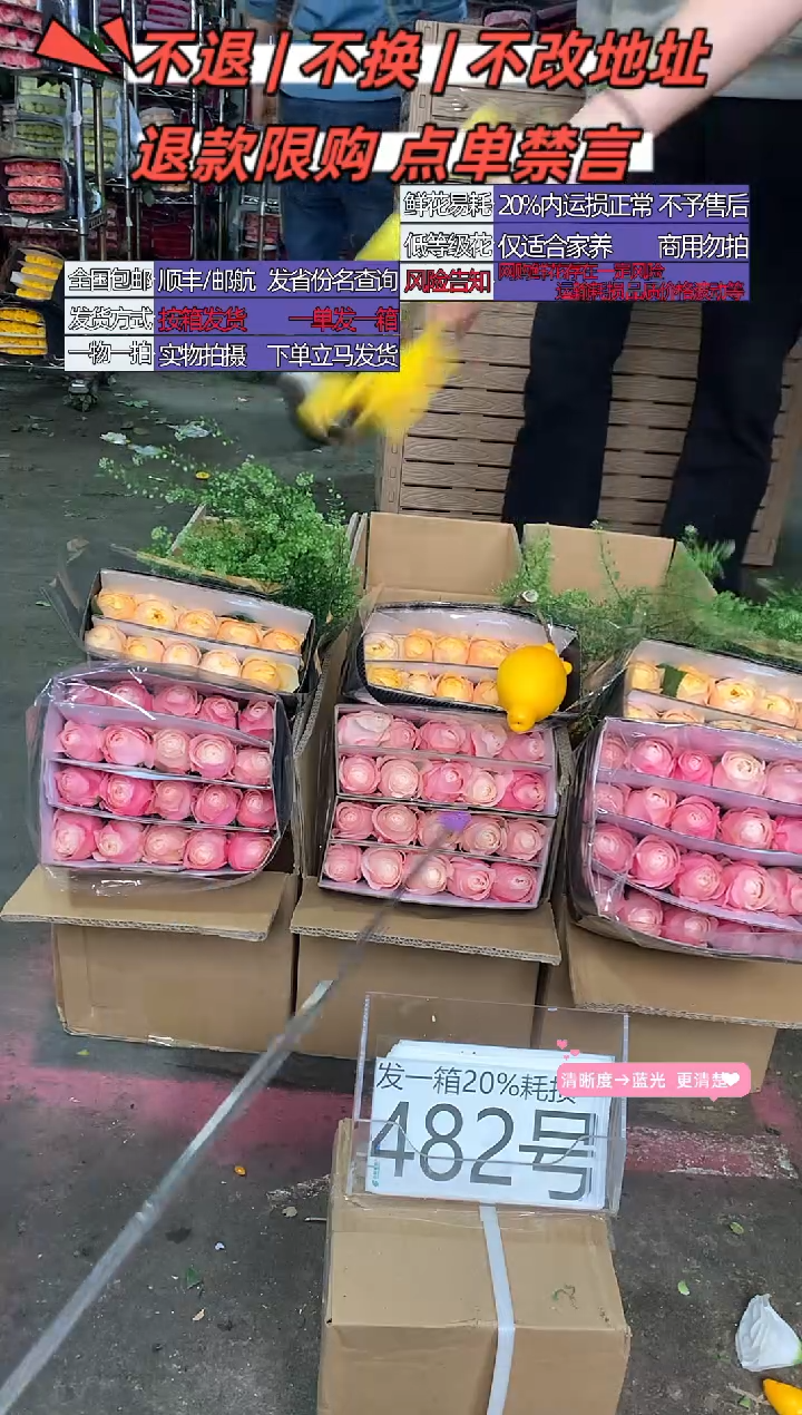 482号♥含20%耗损发一箱