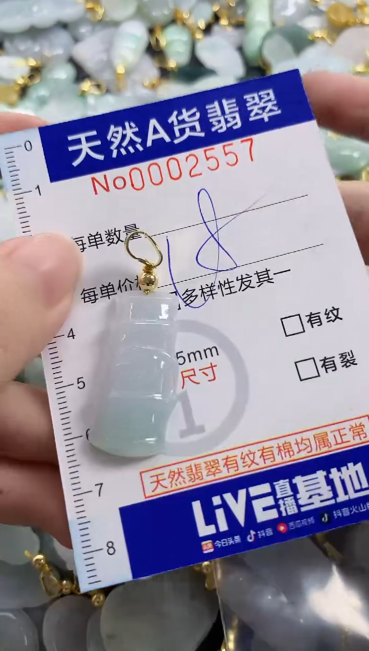 颈饰未镶嵌翡翠天然A货翡翠