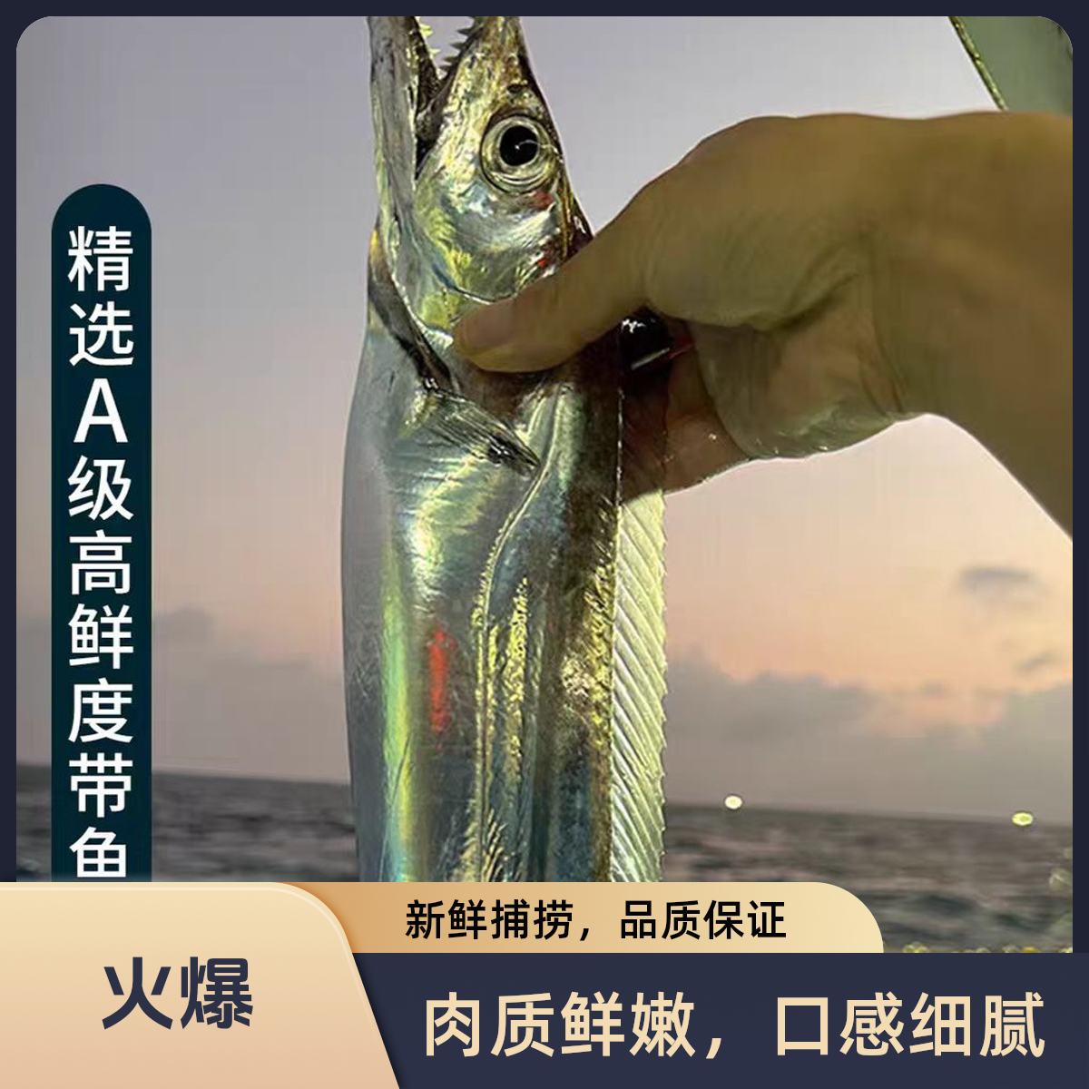 9月开海  新货整条大连渤海湾刀鱼 鲜鱼冻发 1-1.2斤/条   2条   