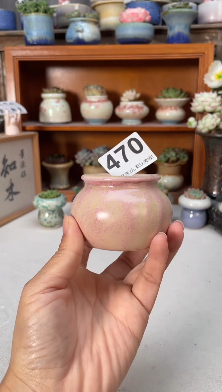 瓷片470小芳直播编号