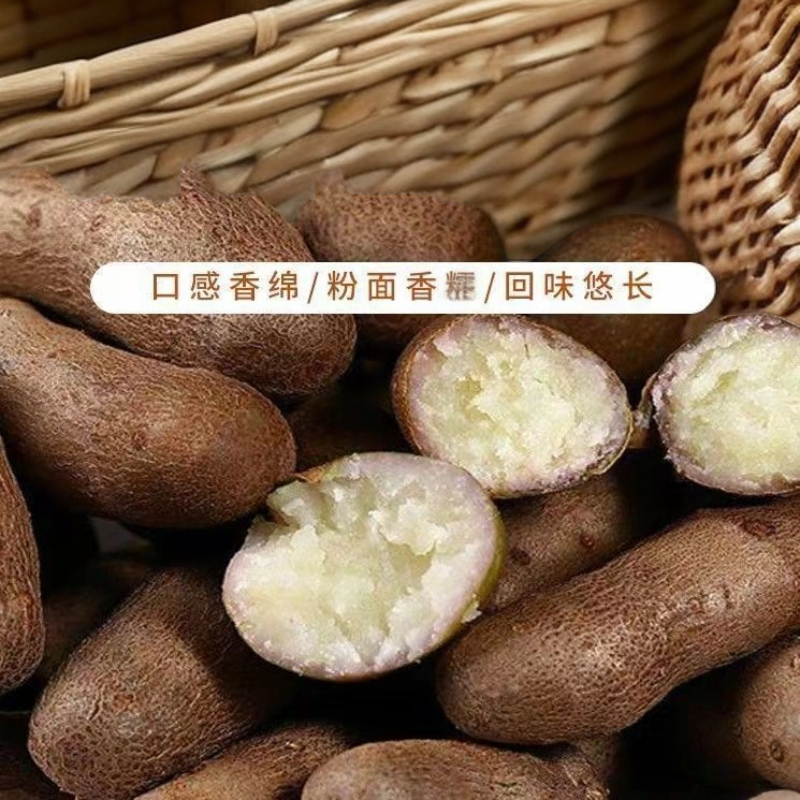 新鲜铁棍山药豆软糯香甜可做糖葫芦煮粥煲汤