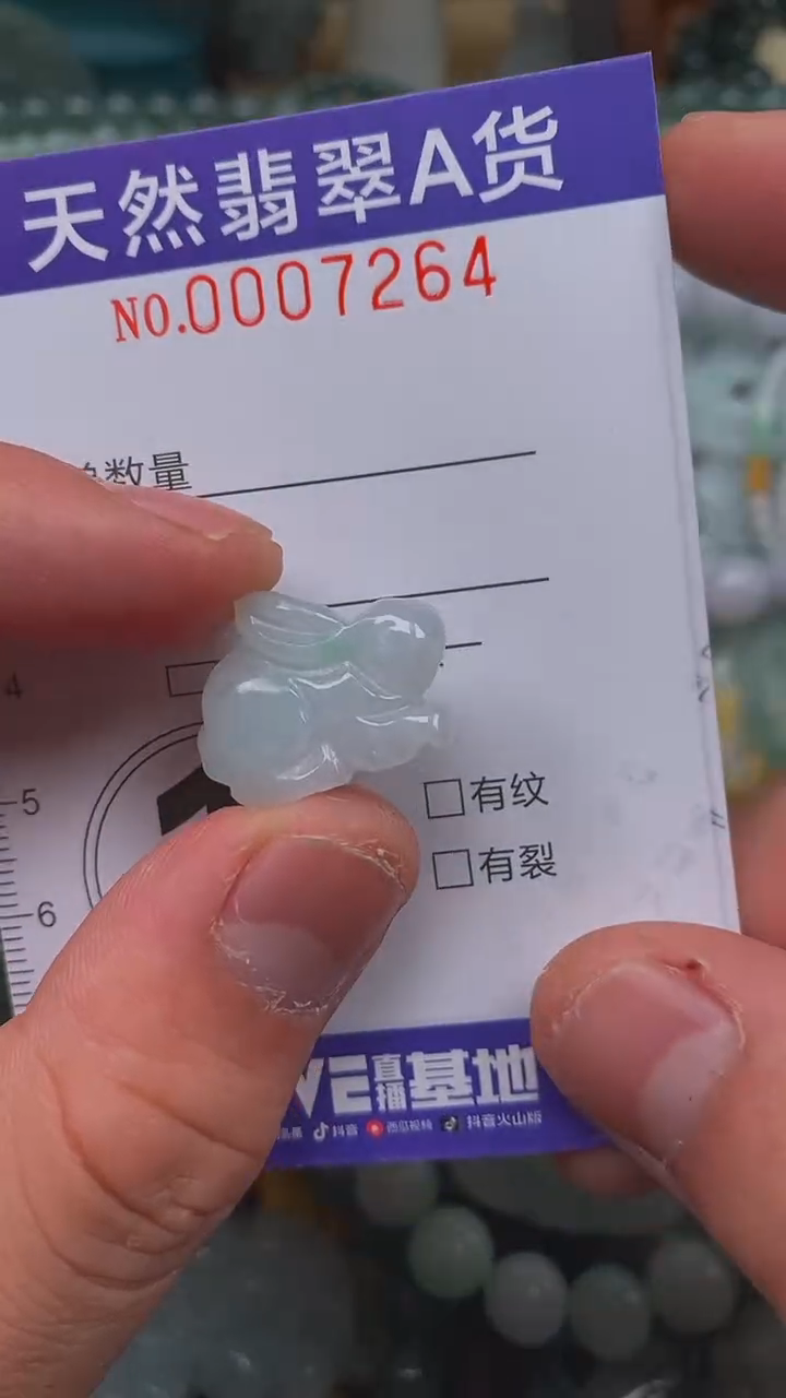 颈饰未镶嵌翡翠闪购0007264