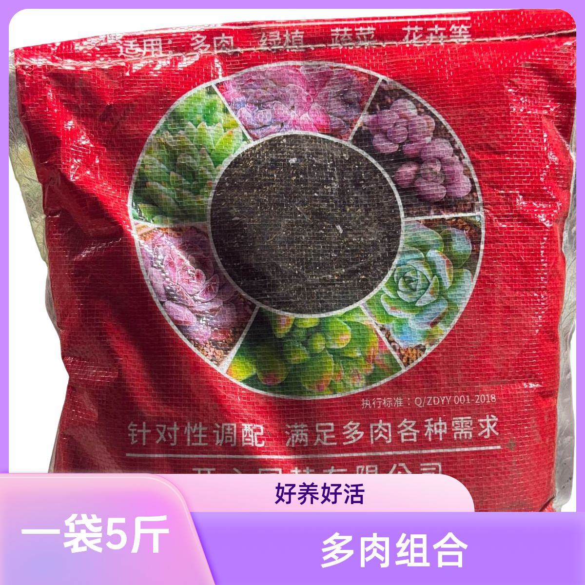 综合链接多肉植物（多肉种植土）阳台露台办公室绿植植新手好养好活