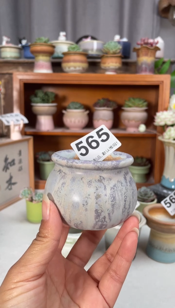 瓷片565福利知木小芳花盆