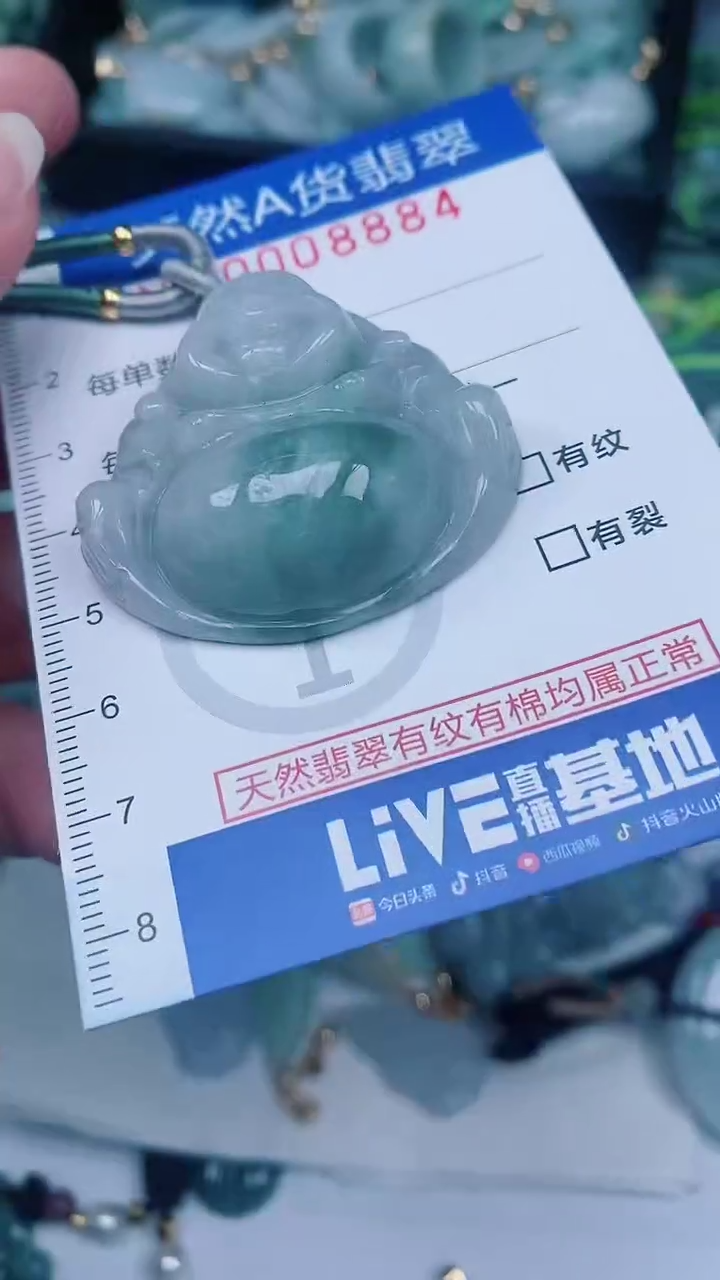 翡翠未镶嵌颈饰00008884