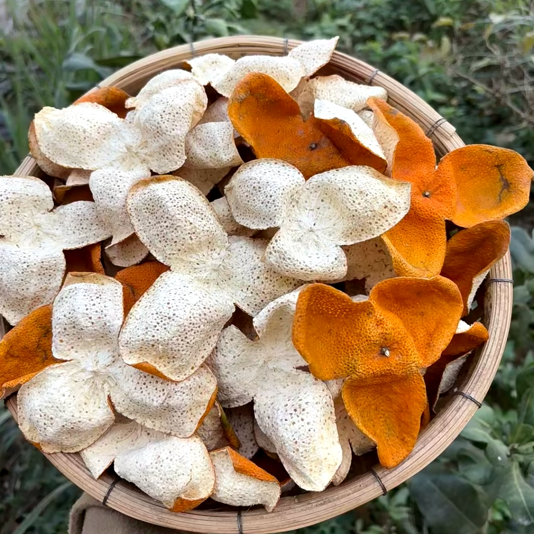 【梅江圈枝大红】 2025年圈枝大红干仓生晒新会陈皮