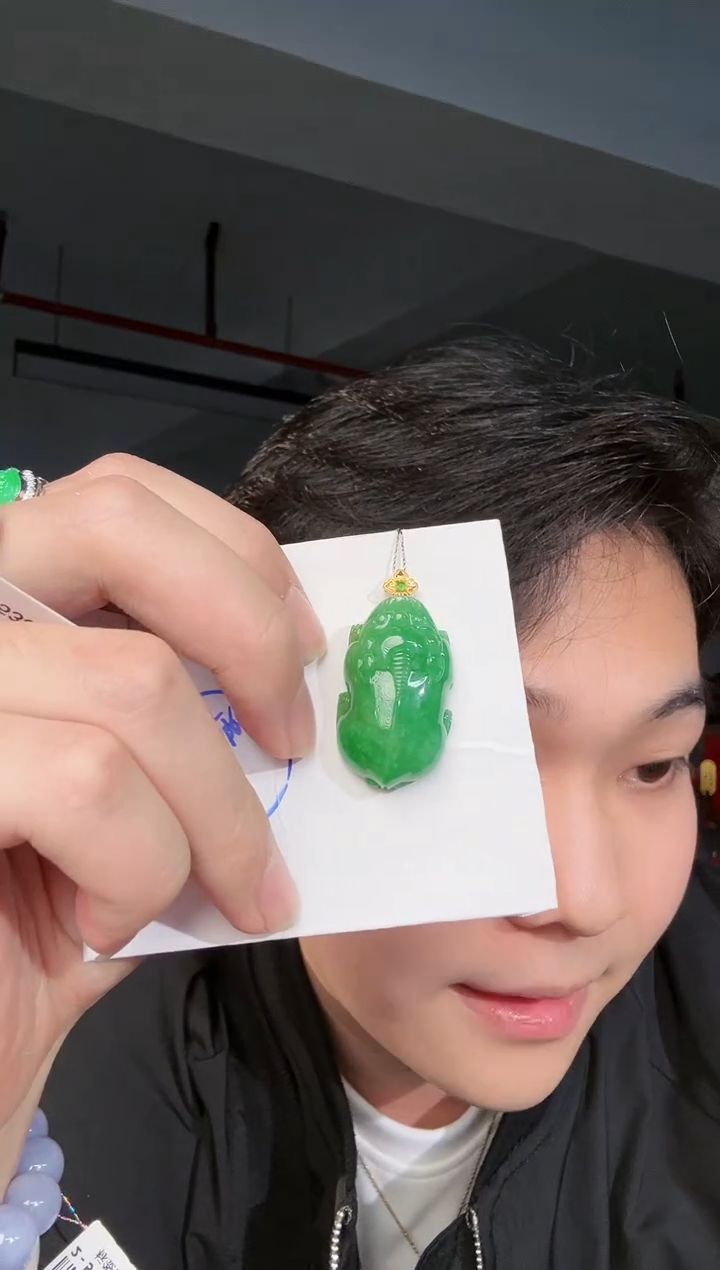 【闪购商品】翡翠颈饰18K金镶嵌缅料A货翡翠/支持复检/一件