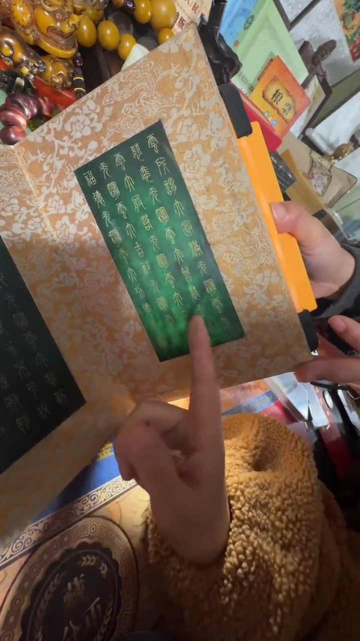 【闪购商品】贝壳摆件撤店清仓好物分享