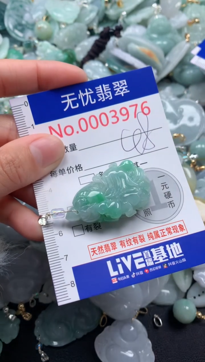颈饰未镶嵌翡翠3976