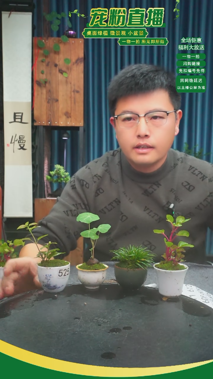 无花朵水**生苔藓微景观525号