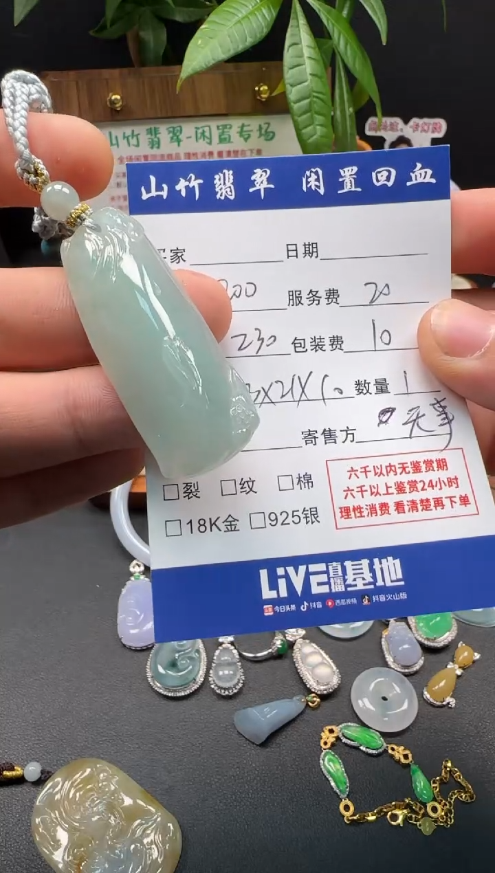 颈饰未镶嵌翡翠3002483