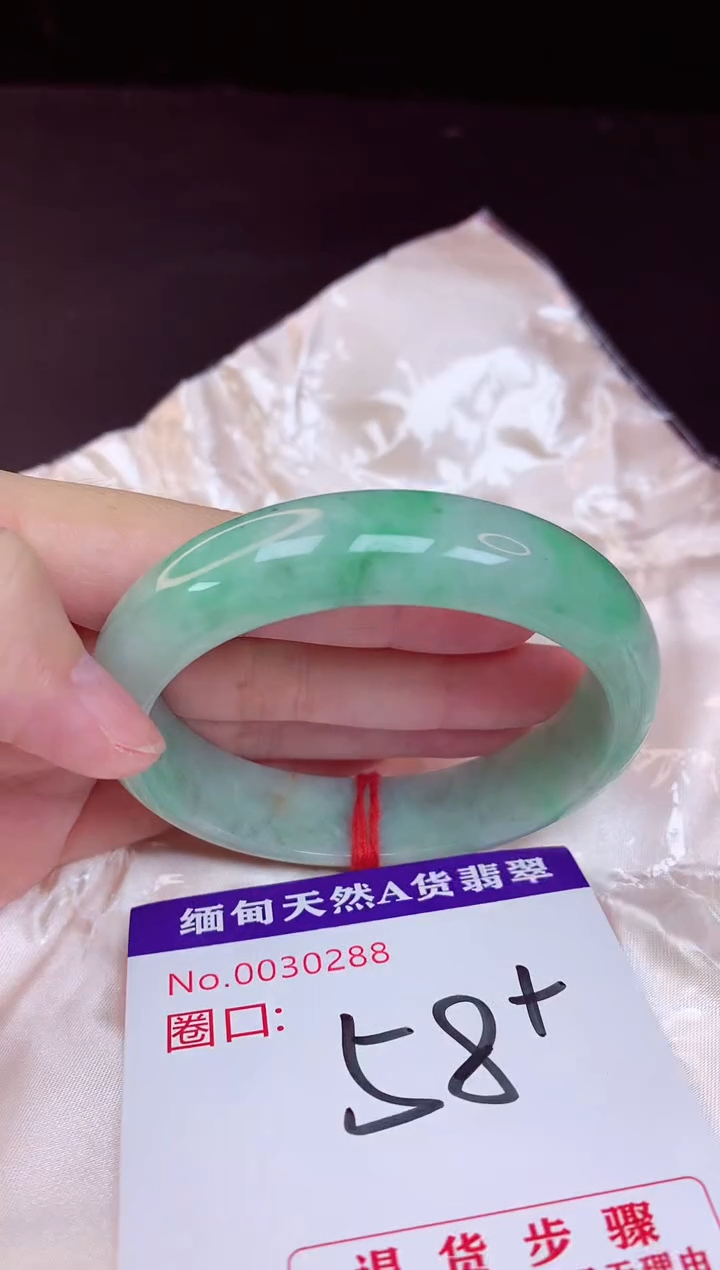 未镶嵌手镯翡翠58+