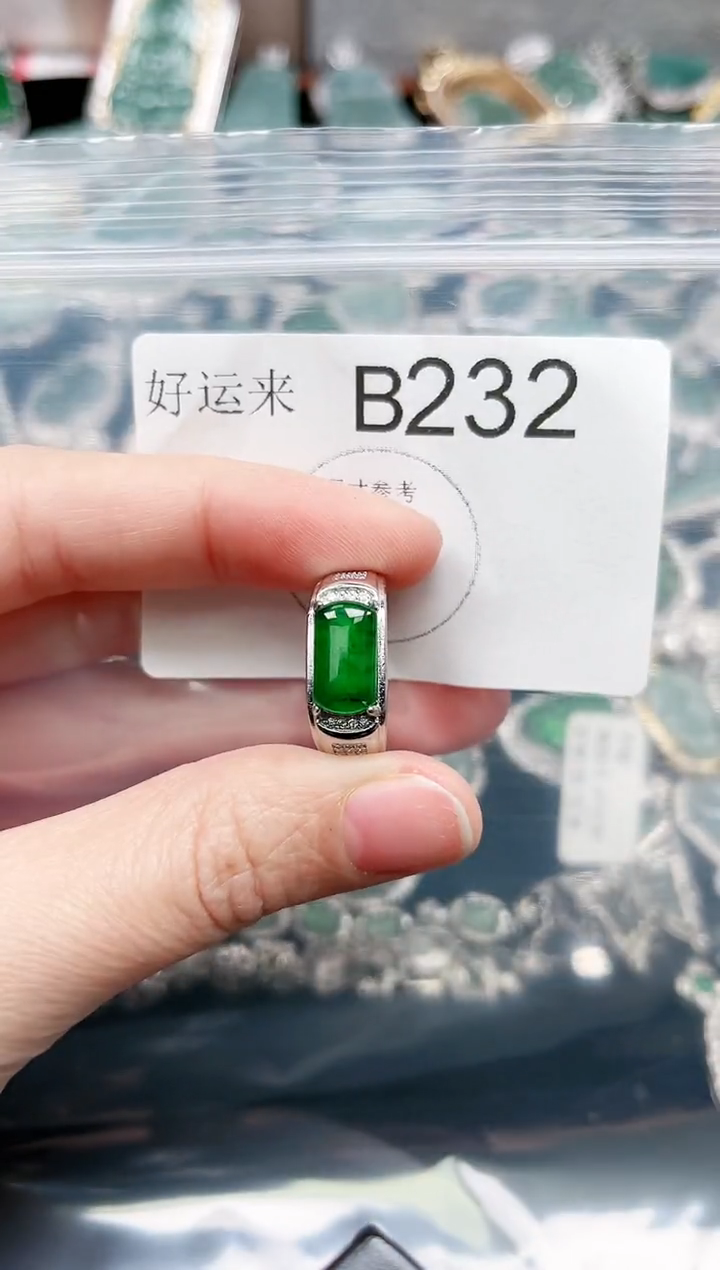 【闪购商品】翡翠颈饰未镶嵌赠皮绳232