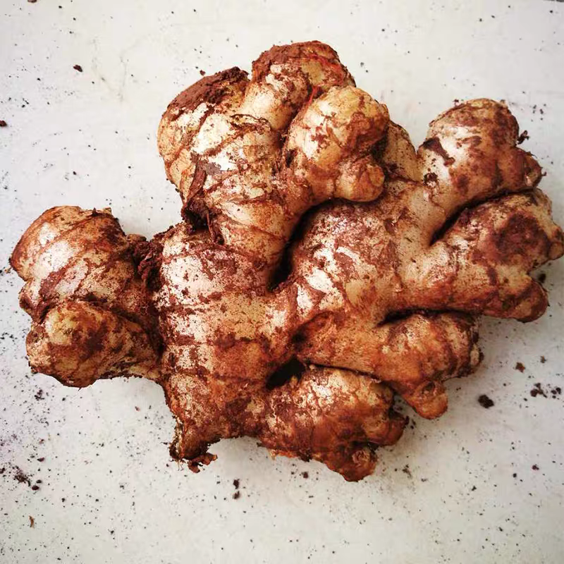 云南青姜  集市现收 应季蔬菜