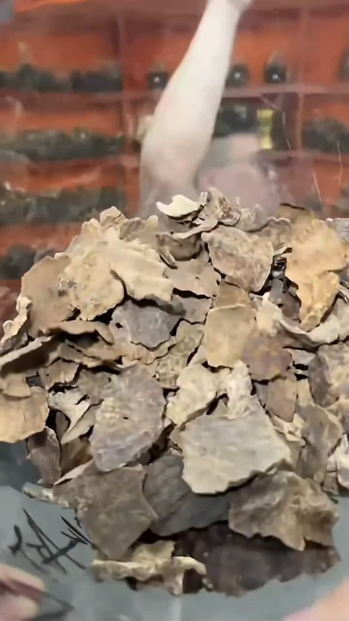 沉香沉香香囊2号包头10g多样性发一