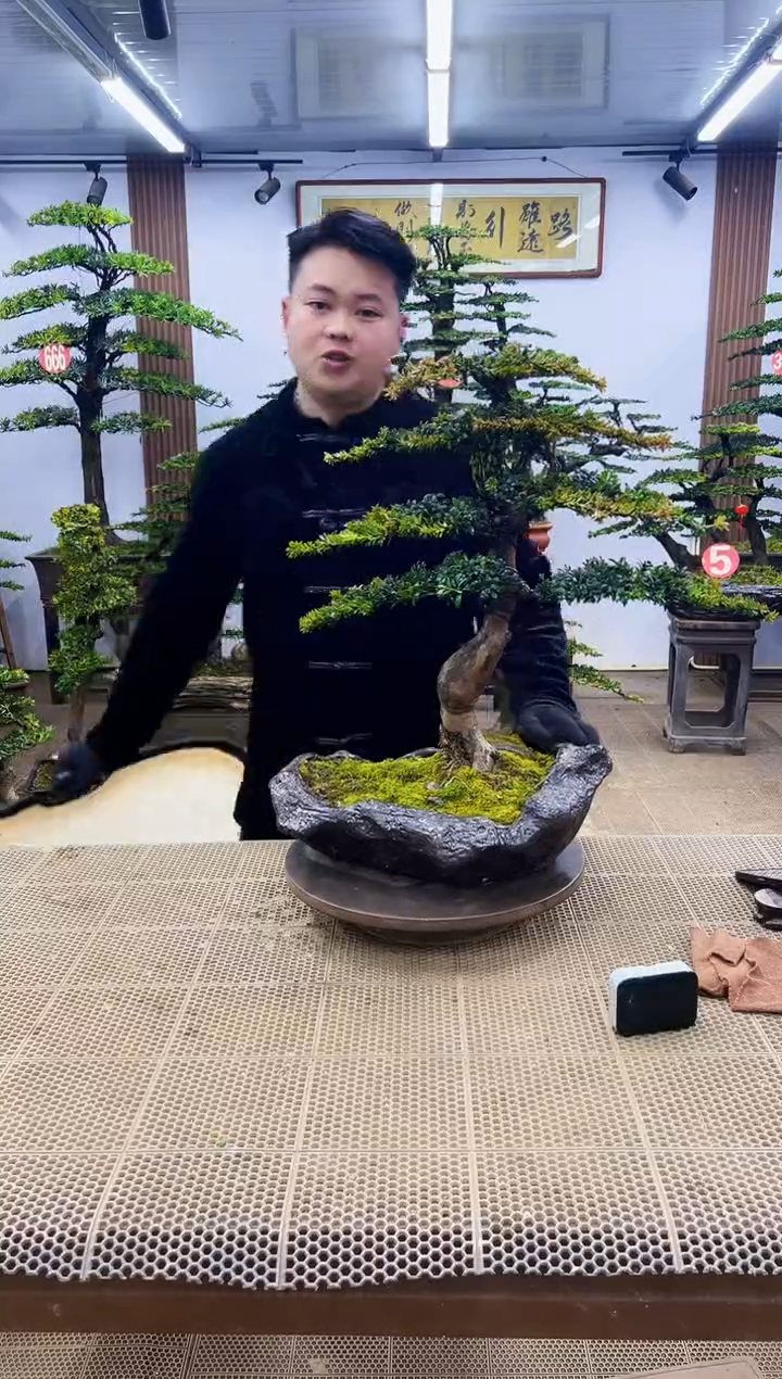 【闪购商品】00000000