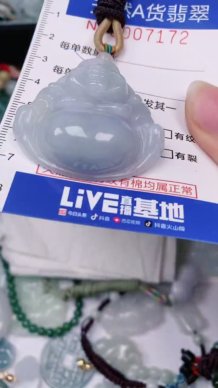 【闪购商品】翡翠颈饰未镶嵌00007172