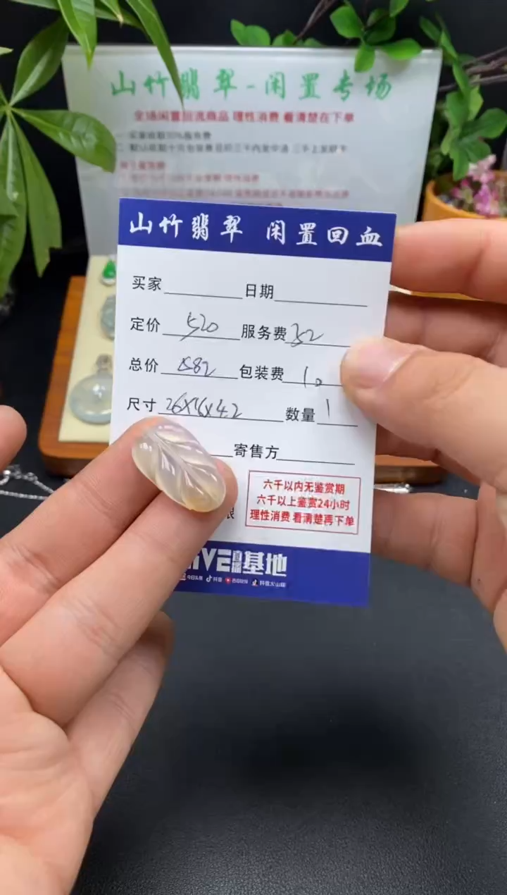 颈饰未镶嵌翡翠3001750