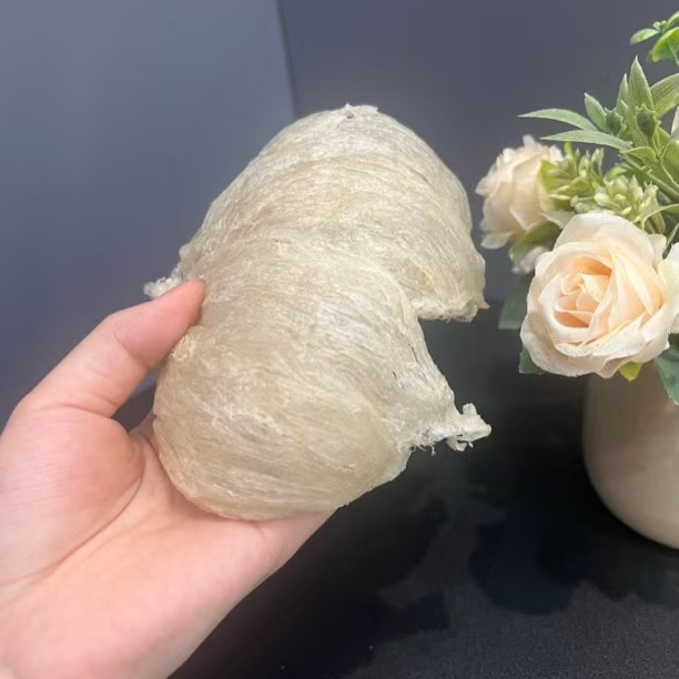 爪哇燕盏大盏100g-500g