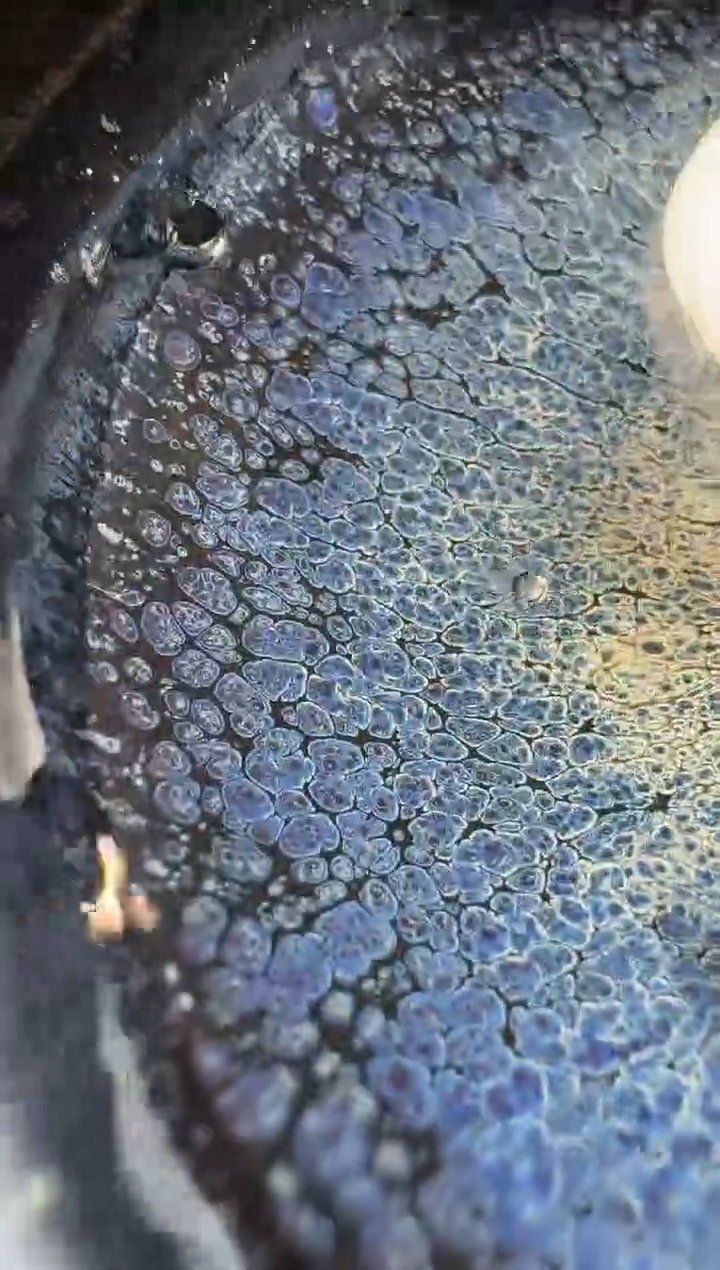 【闪购商品】茶盏陈乃文海王星67