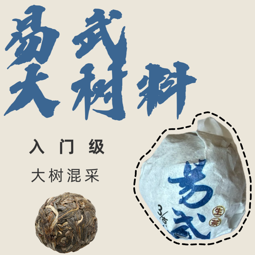 普洱茶 易武大树混采