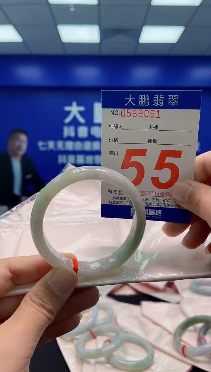 未镶嵌手镯翡翠AAAAAAAAA