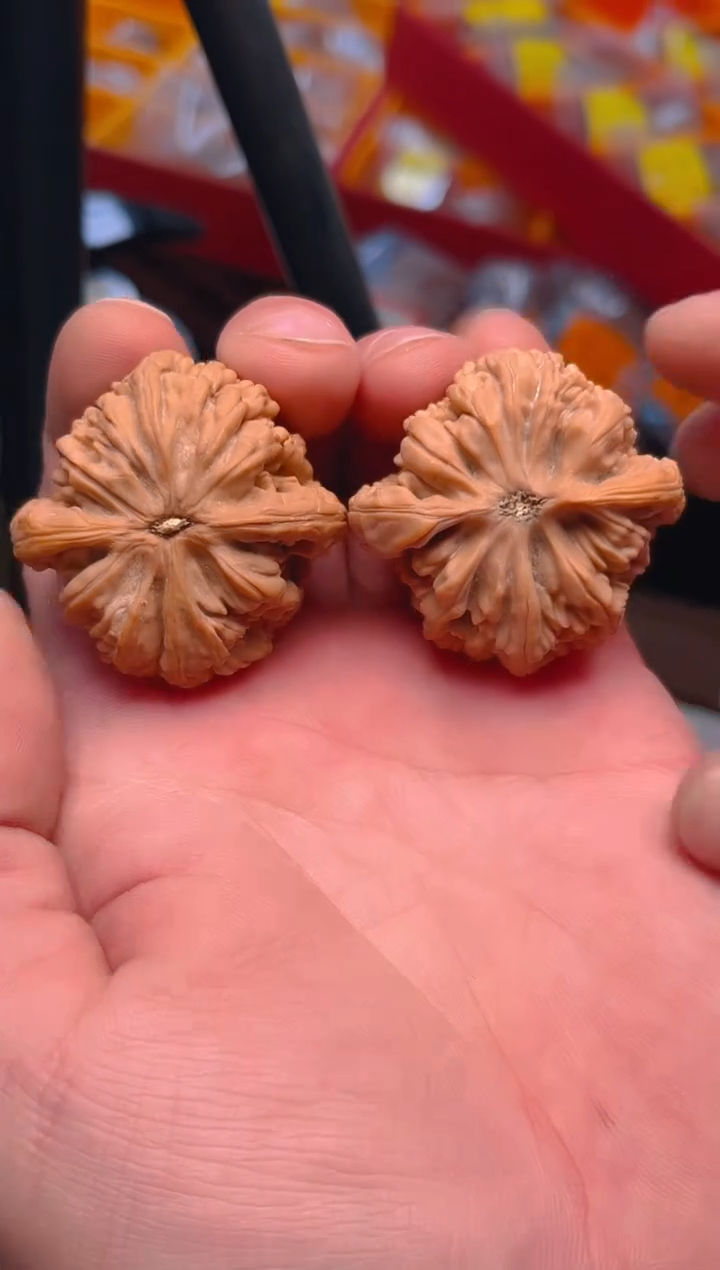 【闪购商品】文玩核桃把件42虎头王