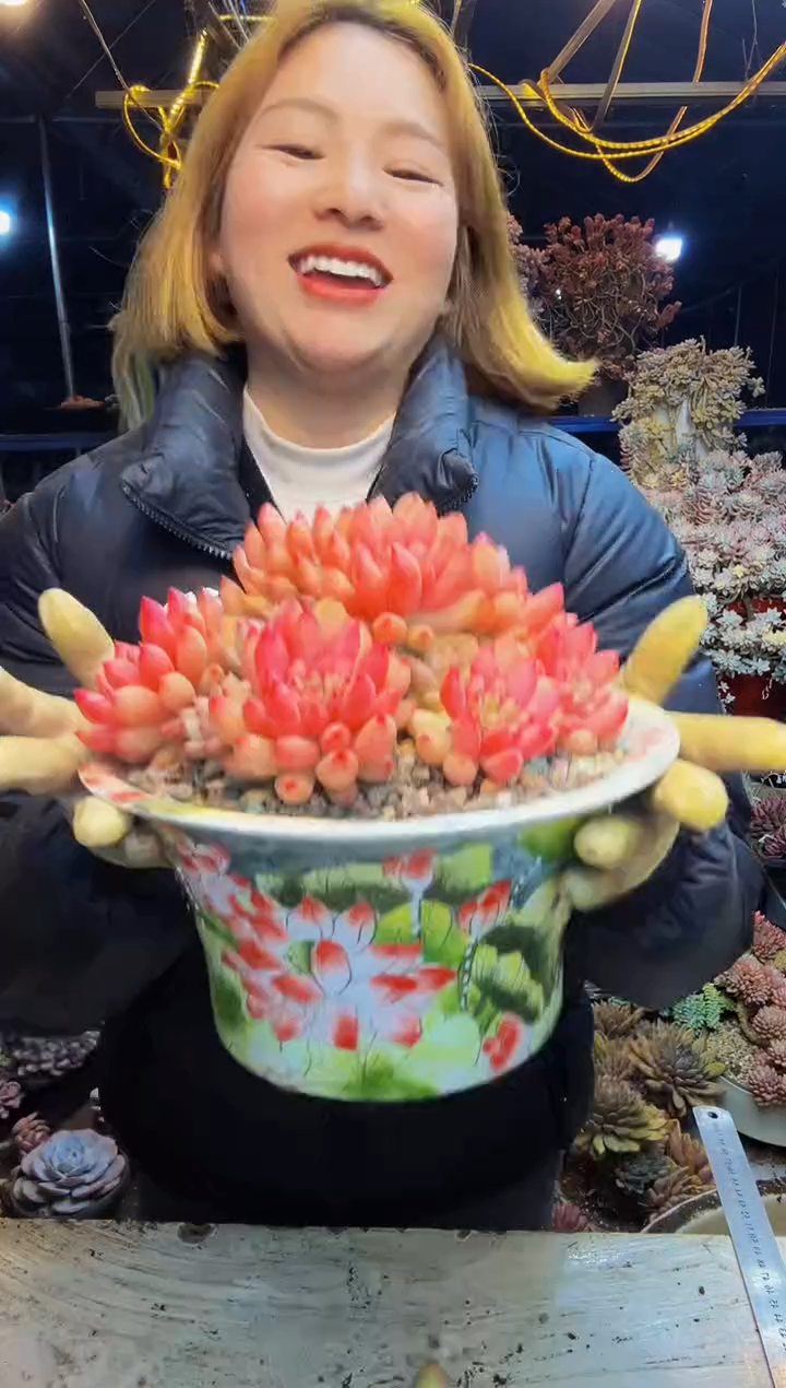 商****坊全状态岩字一物一拍