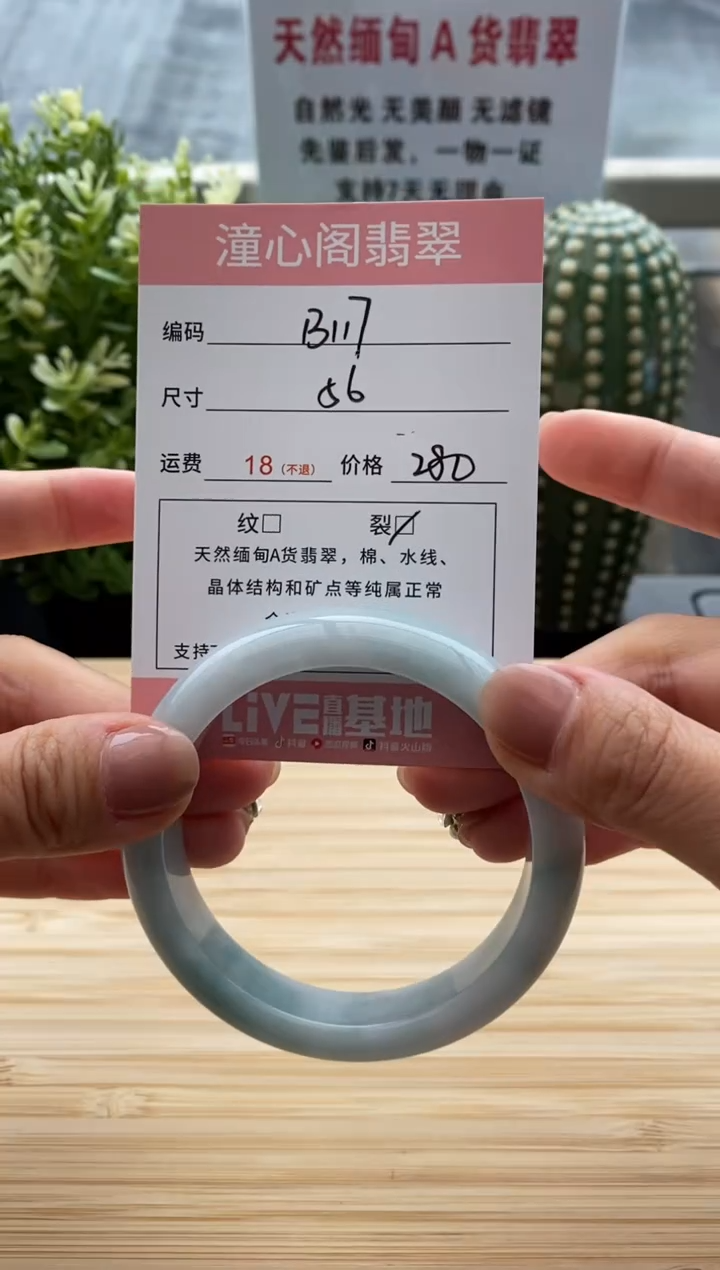 未镶嵌手镯翡翠56圈口 编码 B117