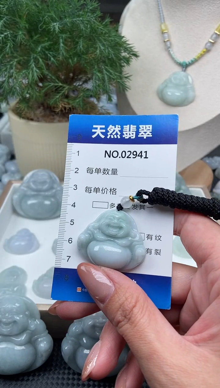 颈饰未镶嵌翡翠纯天然A货翡翠2941