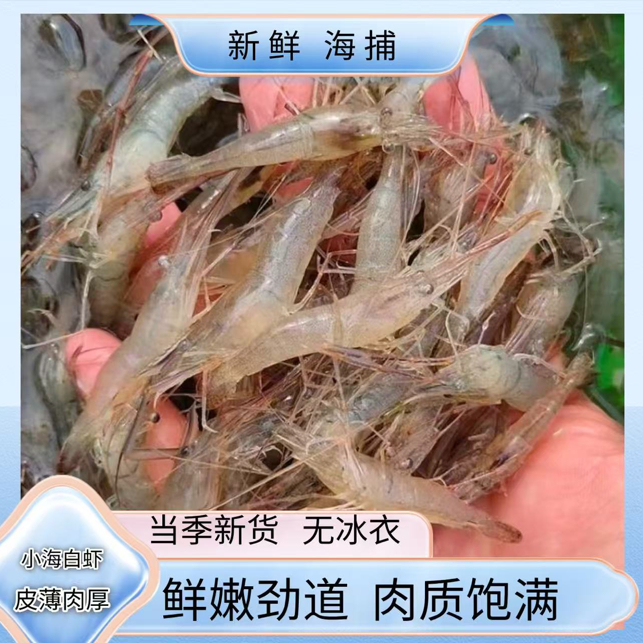 6 净重6斤 新鲜海虾海小白虾  老少皆宜 3包 嫌小勿拍
