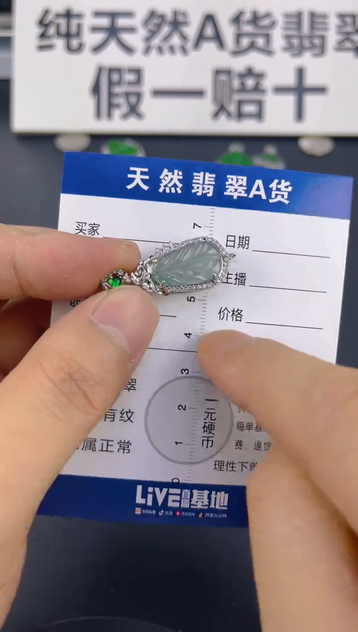 翡翠未镶嵌颈饰天然A货翡翠   