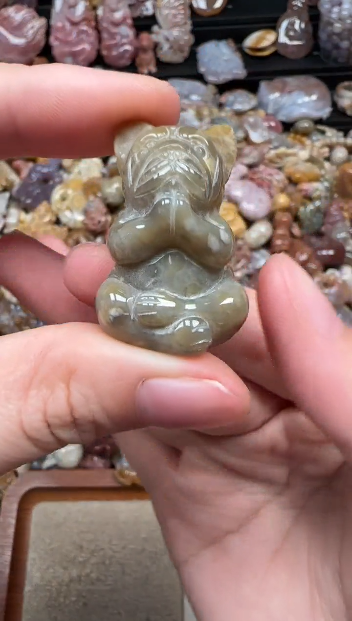 颈饰未镶嵌硅化珊瑚（珊瑚玉）795