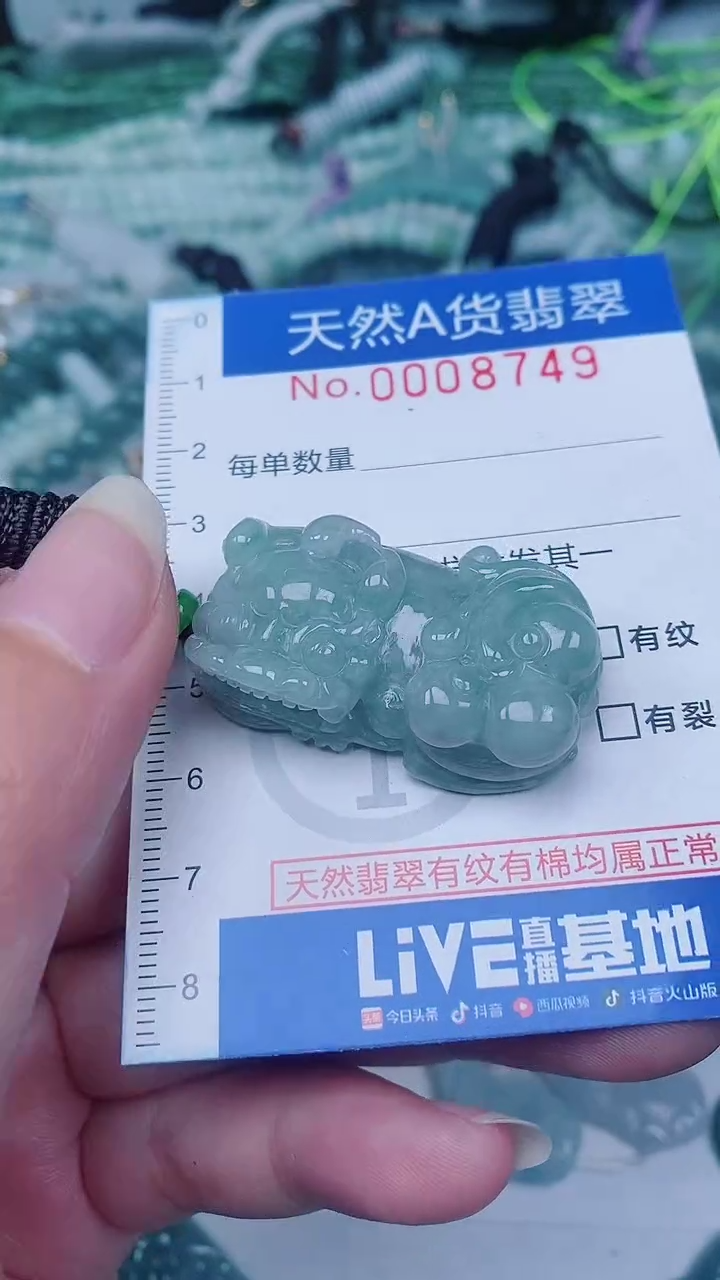 翡翠未镶嵌颈饰00008749