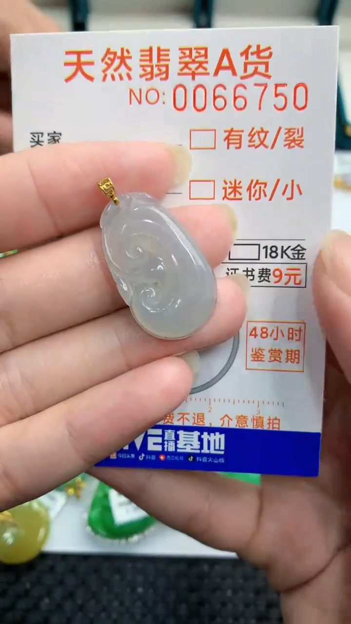 【闪购商品】翡翠颈饰18K金镶嵌            8