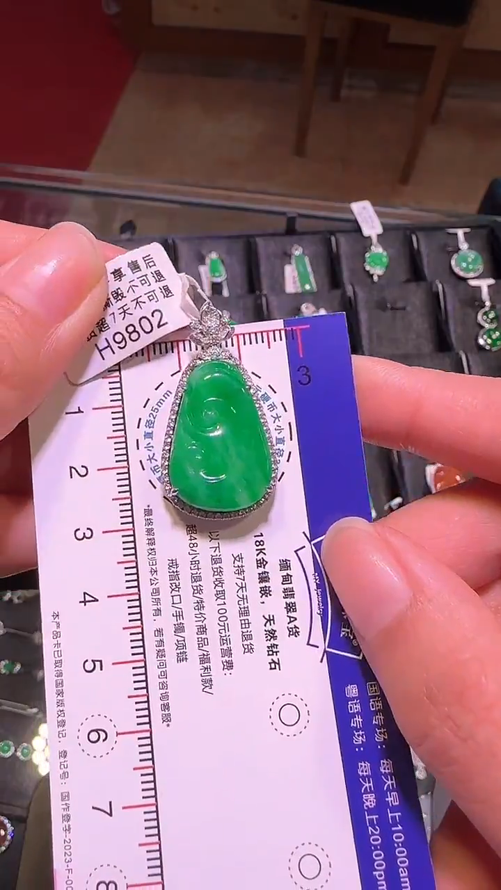 【闪购商品】翡翠颈饰18K金镶嵌H9802冰绿如意