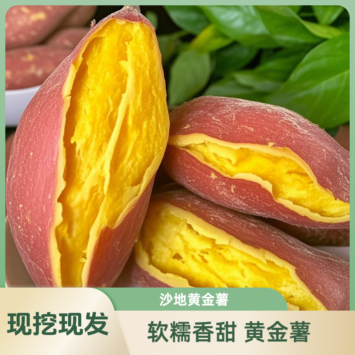 沙地黄金板栗薯红薯软糯香甜新鲜现挖番薯粗粮代餐健康地瓜