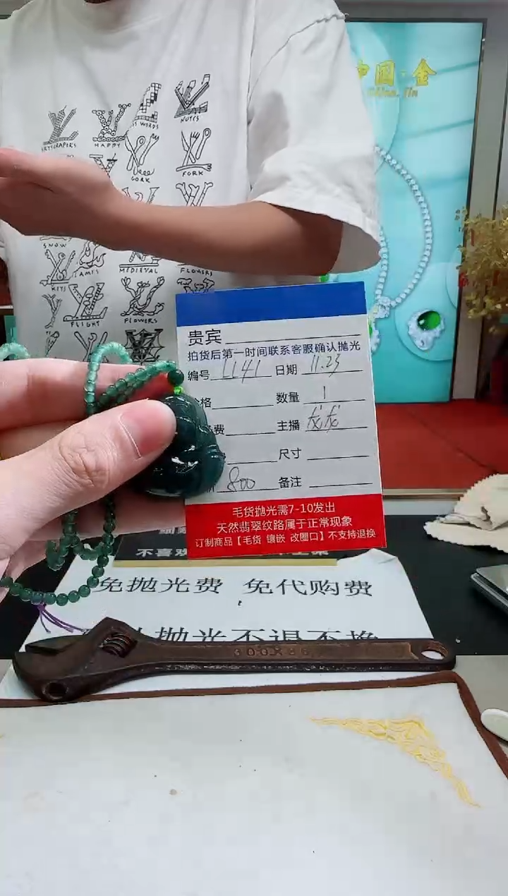 未镶嵌定制翡翠LL41翡翠吊坠赠珠链-多样性发其一