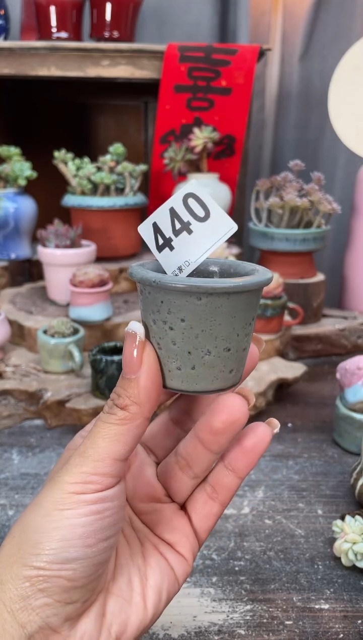 【闪购商品】摆件440知木小芳花盆