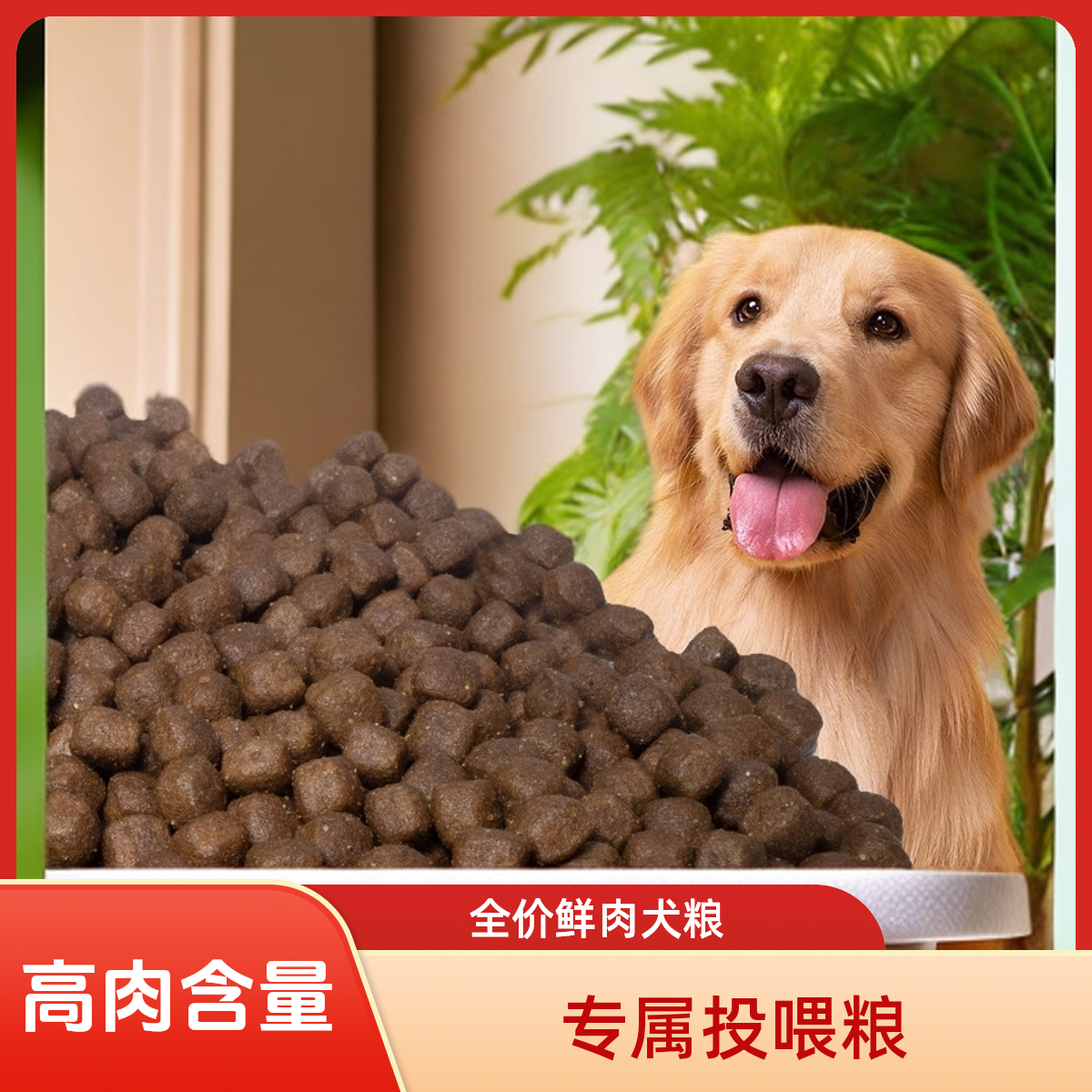 《杨哥基地专属》全价鲜肉犬粮