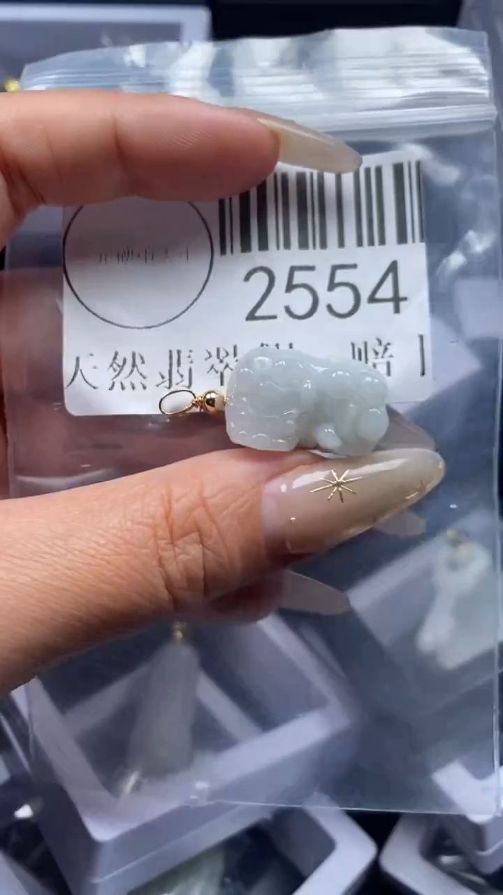 颈饰未镶嵌翡翠2554