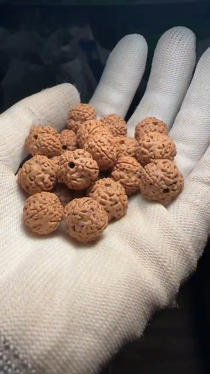 金刚菩提手串非全品老树梅花散籽13-14左右mm一份一百颗