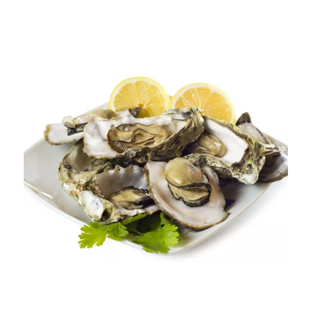 5+生蚝/5只套餐