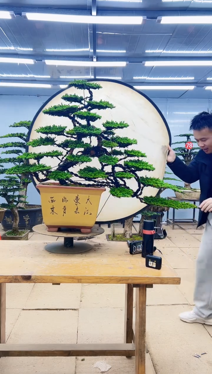 00000000000000000000