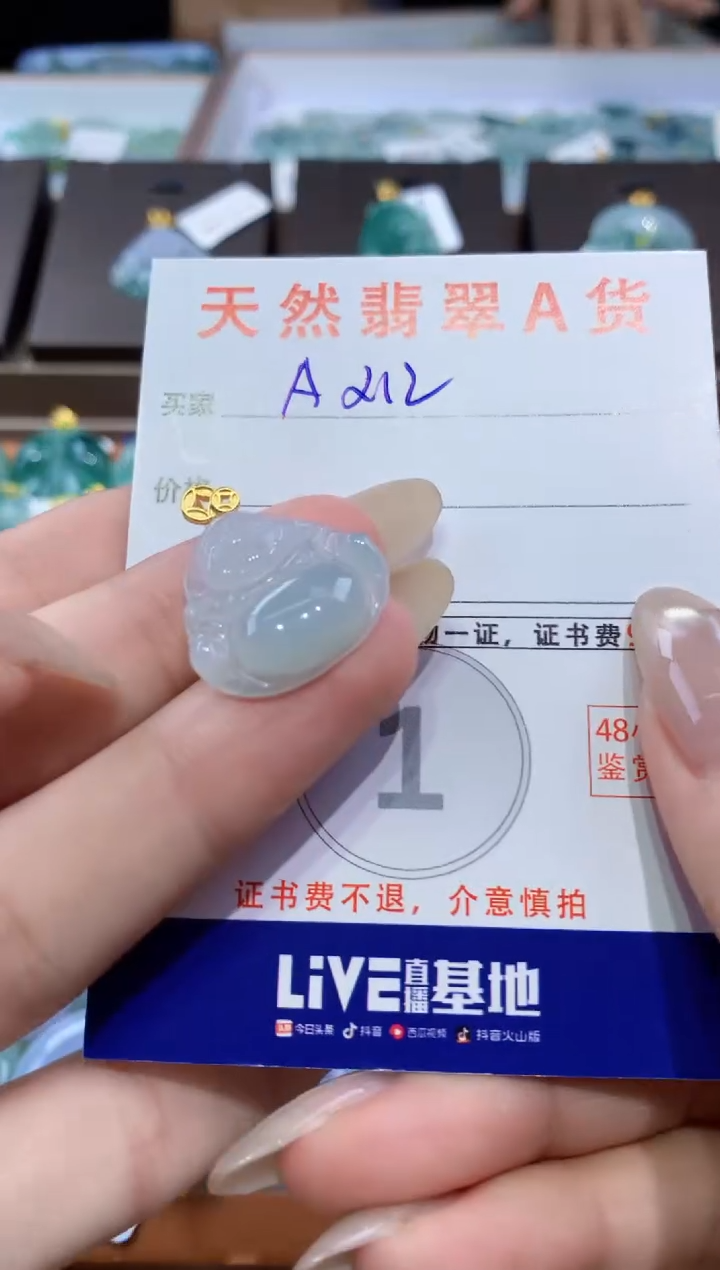 颈饰未镶嵌翡翠天然缅甸翡翠A货挂件 