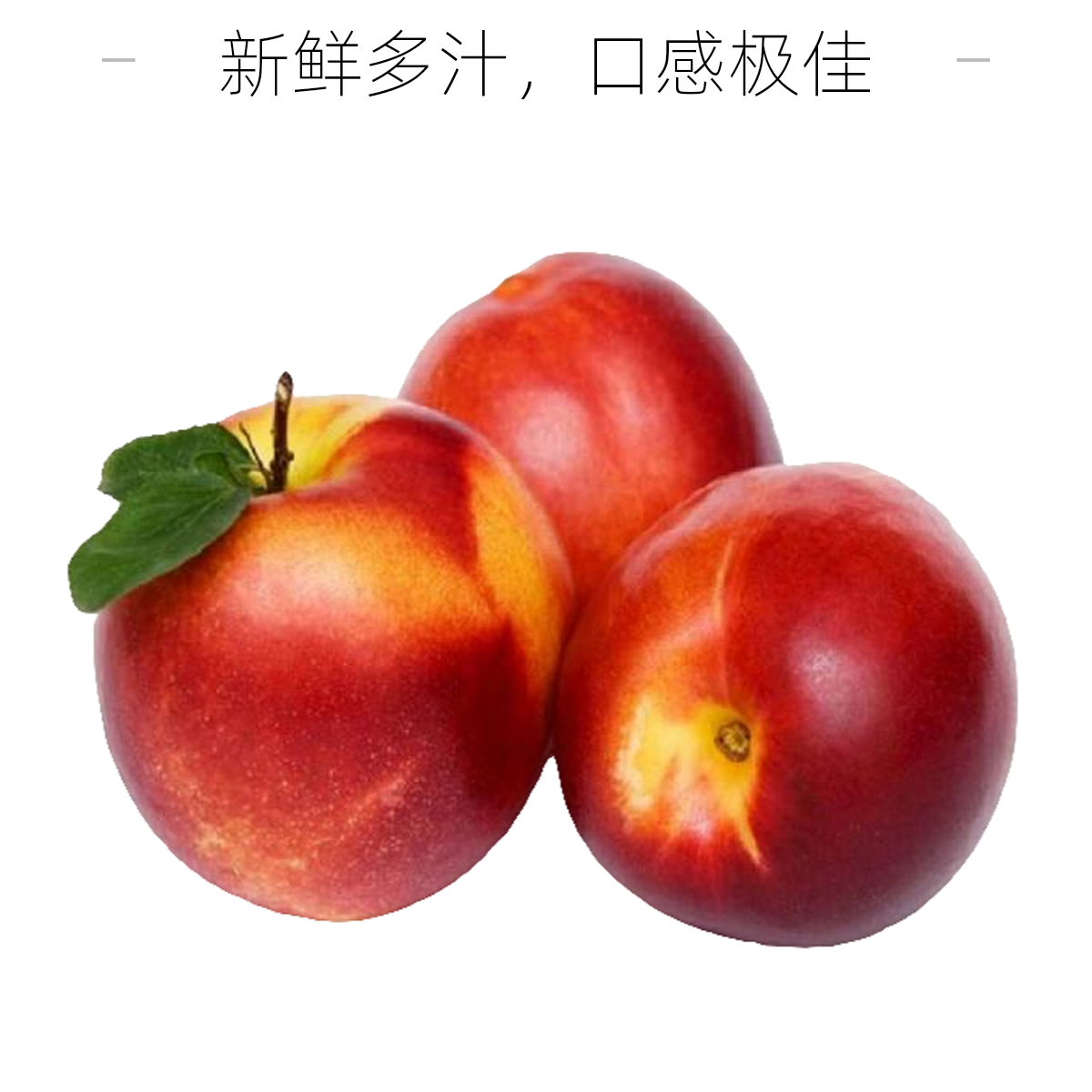 新鲜油桃  约250g吉林省