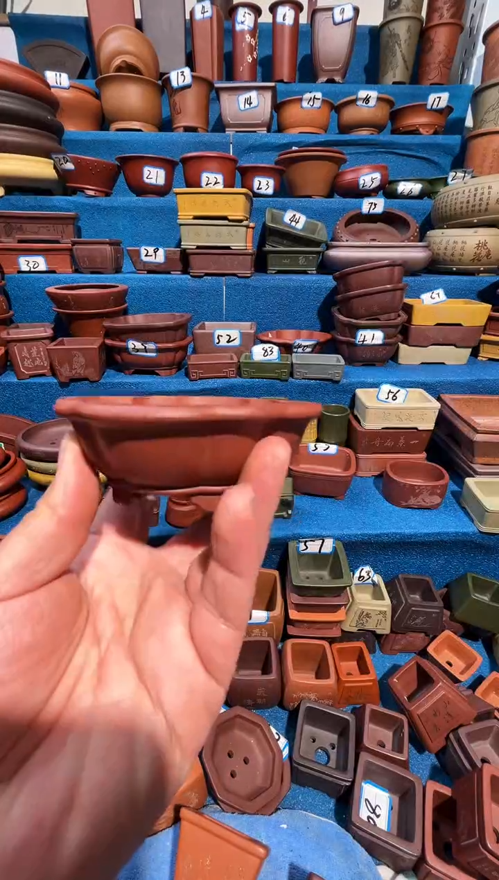 【闪购商品】紫砂紫砂花盆9.5*8.5*2.5